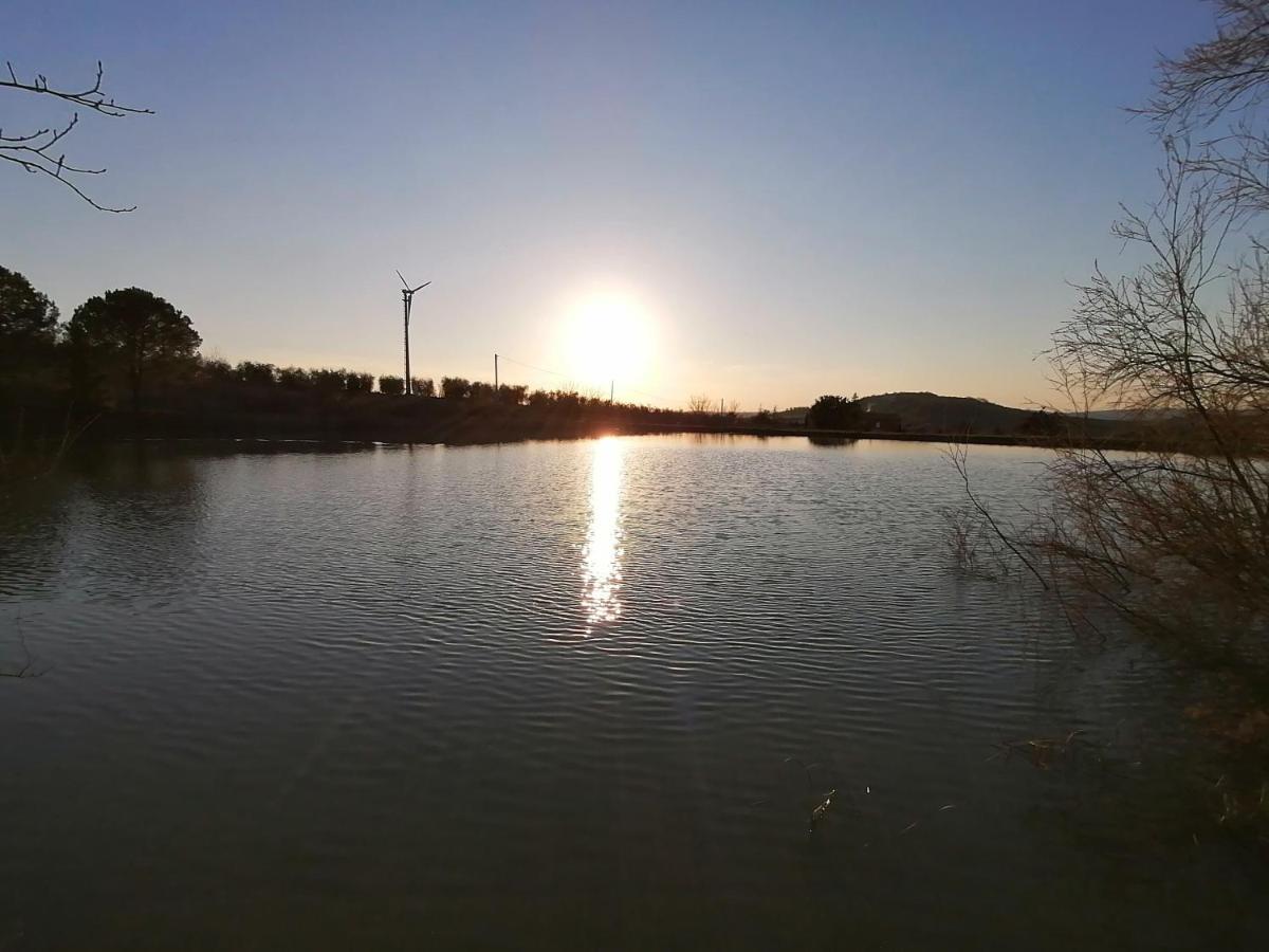 Agriturismo Galeazzi Marsiliana Dış mekan fotoğraf
